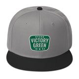 RETRO VIC GREEN SNAPBACK