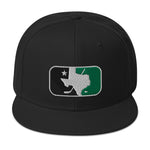 TX HOCKEY CO. ICON DALLAS SNAPBACK