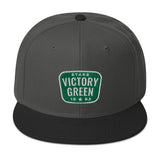 RETRO VIC GREEN SNAPBACK