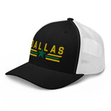 SE DALLAS RETRO TRUCKER